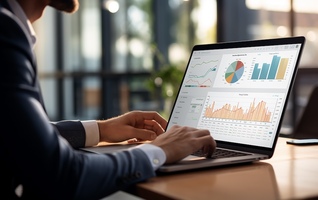 Data anlyst job description